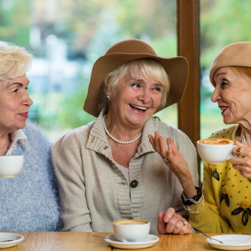 Elderly ladies in cafe smiling. Conversation of old women. Rumors and gossips.